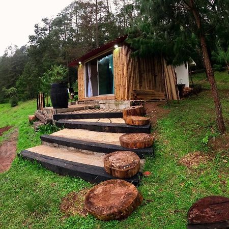 Cabana Romantica En El Bosque! Acaxochitlán المظهر الخارجي الصورة