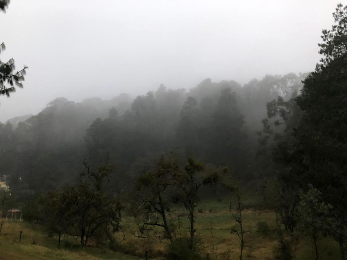 Cabana Romantica En El Bosque! Acaxochitlán المظهر الخارجي الصورة