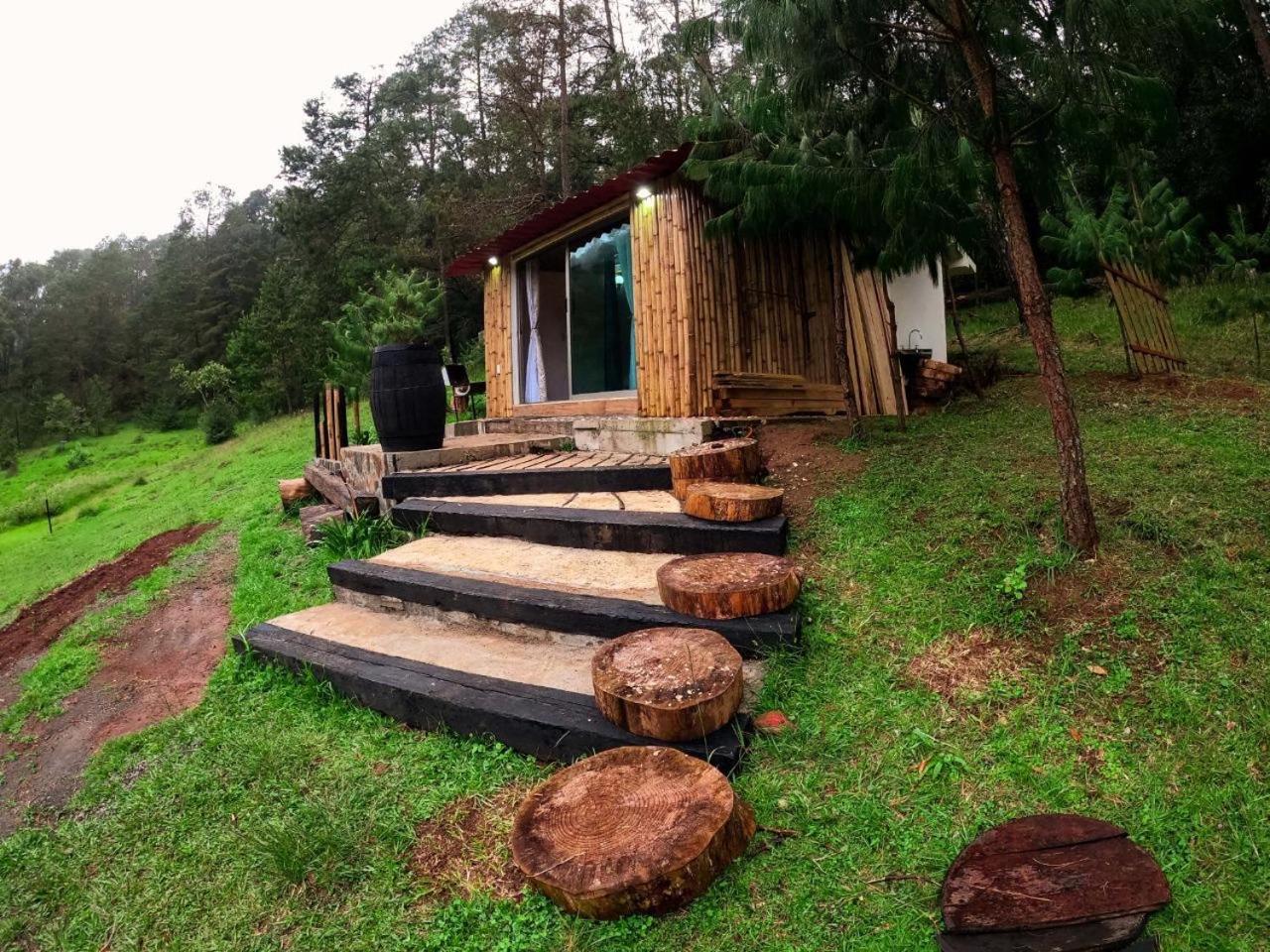 Cabana Romantica En El Bosque! Acaxochitlán المظهر الخارجي الصورة